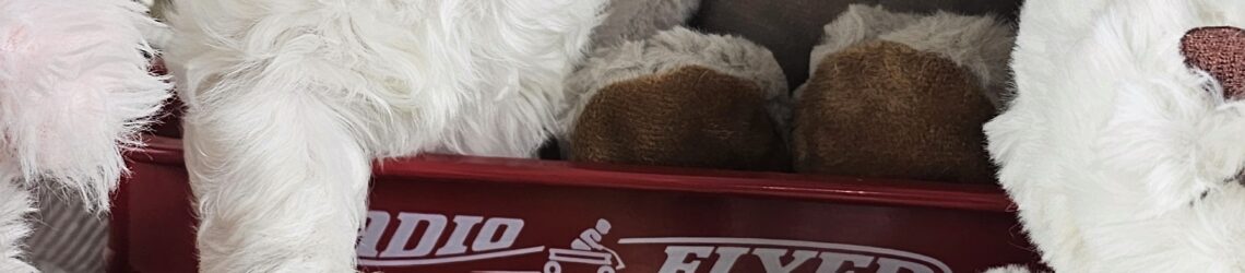 FLUFF TOWN PUPPIES, LLC